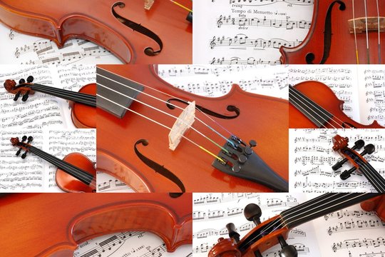 Parts of Violin Collage