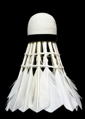 shuttlecock - 16726390