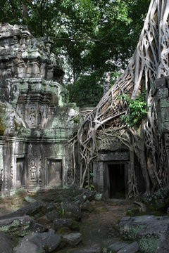 Preah Khan Tempel - Angkor Wat