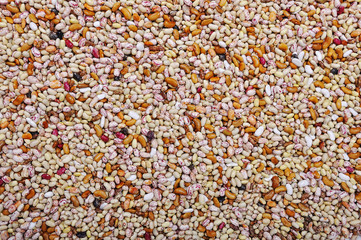 Many pieces and many kind of beans, wallpaper, pattern