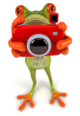 Grenouille avec un appareil photo