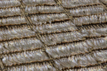 sardine brochettes in cambodia