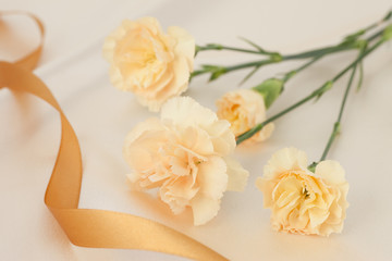 Carnation