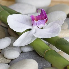 Gordijnen Orchidee auf Bambus © Sunnydays
