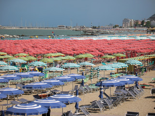 Cattolica