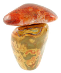 champignon minéral