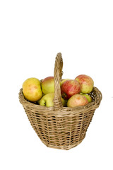 Basket of apples