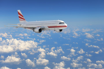 Airplane in the sky