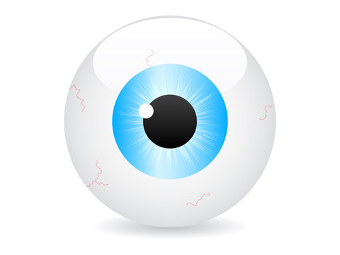 eye vector illustration