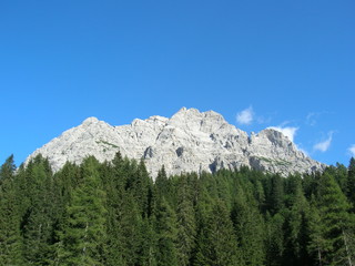 Dolomiti tra gli alberi