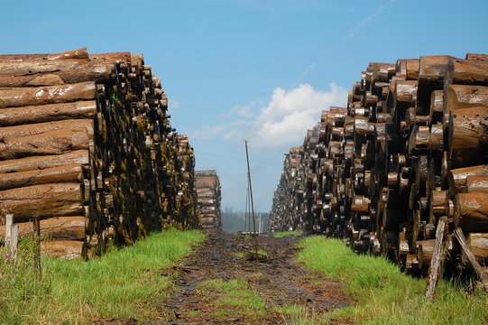 Rang&eacute;es de bois.