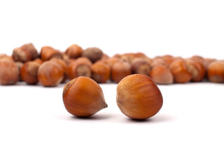 Hazelnuts