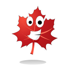 maple leaf illustration vector