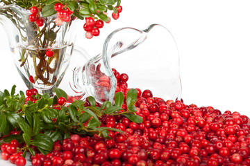 Fresh cowberry with green leaves
