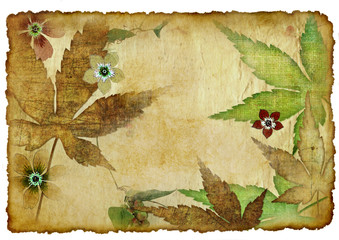 vintage autumn paper background