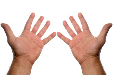 les dix doigts