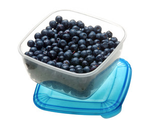 Blueberry in box