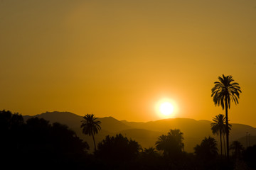 Perfect Sunset