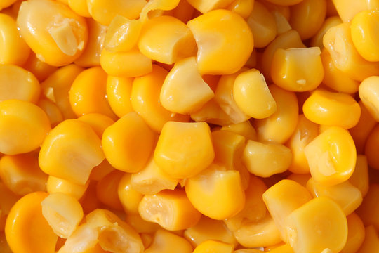 Sweetcorn Macro