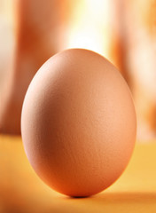 Chicken egg