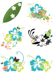 Six design elements with Hawaiian flowers on summer theme