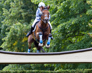 Horse & Rider in Blue