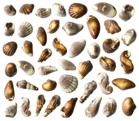 chocolate candy isolated on white