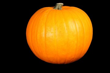 Pumpkin on the black background