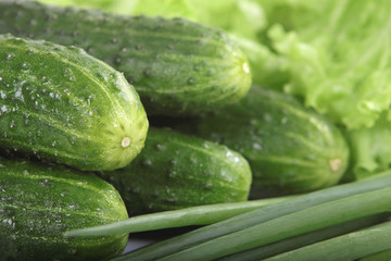 fresh green cucumbers