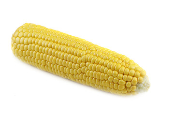 Corn