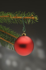 Palla di natale su abete