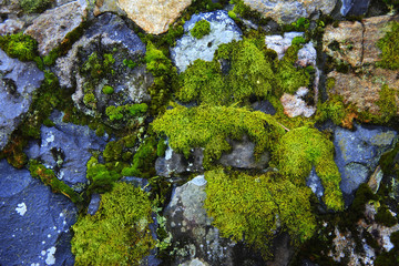 古都のイメージ