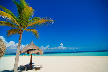 Obraz na płótnie Canvas Cancun beach