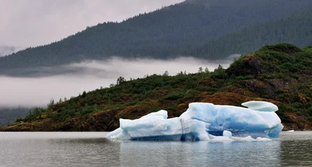 Photo sur Plexiglas Glaciers Mendenhall Iceberg
