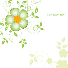 abstract floral background with place for your text