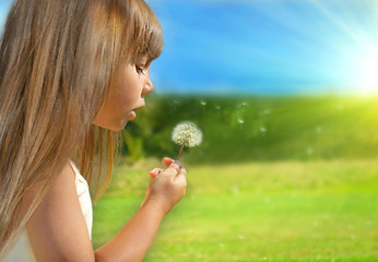 Summer dreams