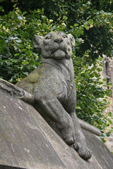 Fototapeta premium lion statue