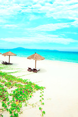 Sandy tropical beach