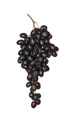 small grapes isolated.