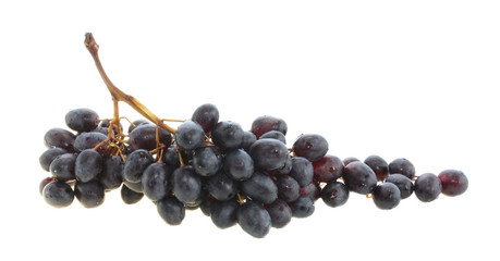 Blue grapes isolated.