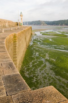 Port de Binic (bretagne) couvert d'algues vertes