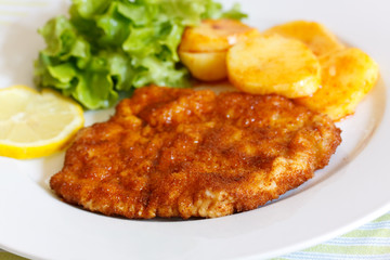 schnitzel -paniert mit Bratkartoffeln und salat