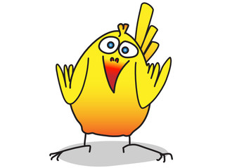 Canary bird