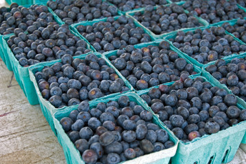 Sweet Crop