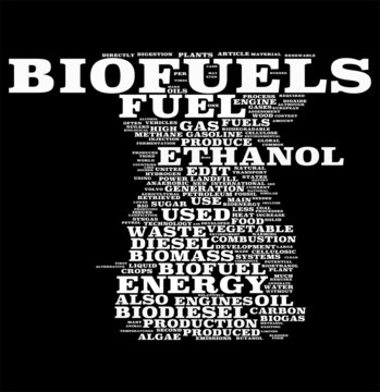Bio Fuel word cloud