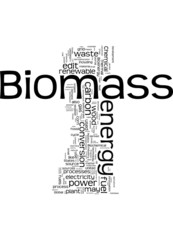 Biomass tag cloud