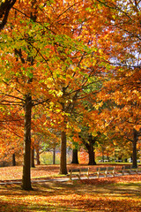 Naklejka premium Boston Public Garden