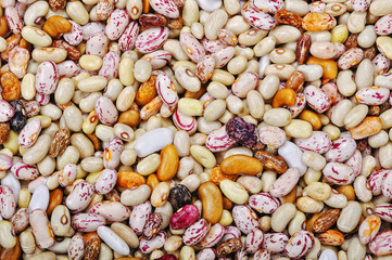 Many pieces and many kind of beans, wallpaper, pattern