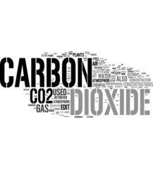 Obraz premium Co2 - Carbon word cloud