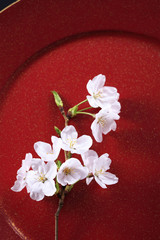 Naklejka na ściany i meble 桜、和風イメージ